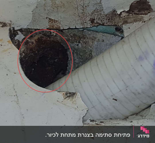 החיבור החדש השאיר פתוח את הצנרת ביוב הישנה שמשותפת לדירה מעבר לקיר.
